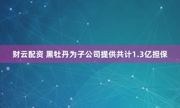 财云配资 黑牡丹为子公司提供共计1.3亿担保
