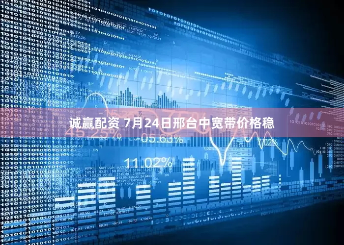 诚赢配资 7月24日邢台中宽带价格稳